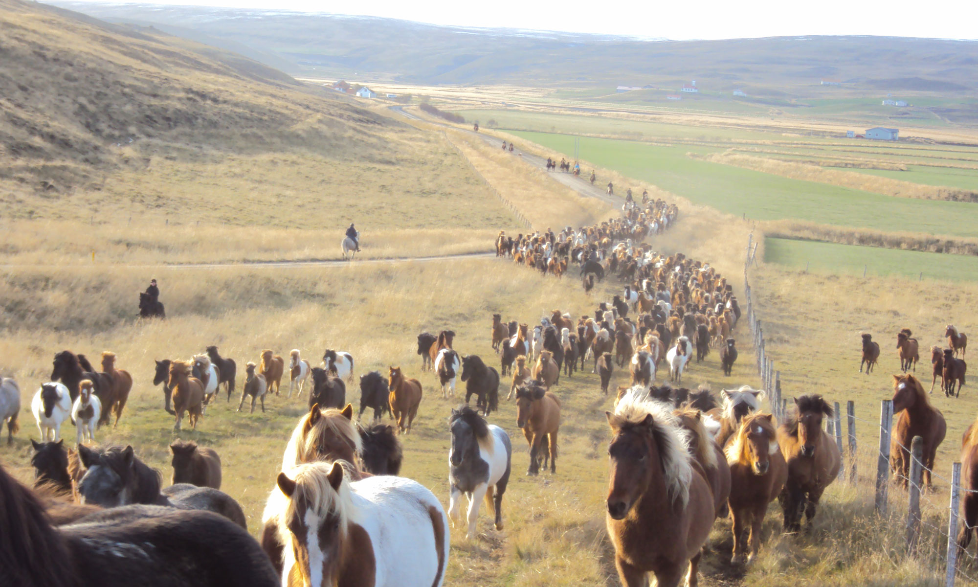 visuel ouestcoaching accueil