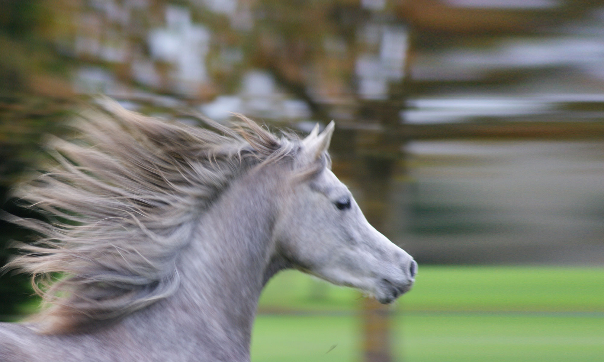 visuel ouestcoaching accueil