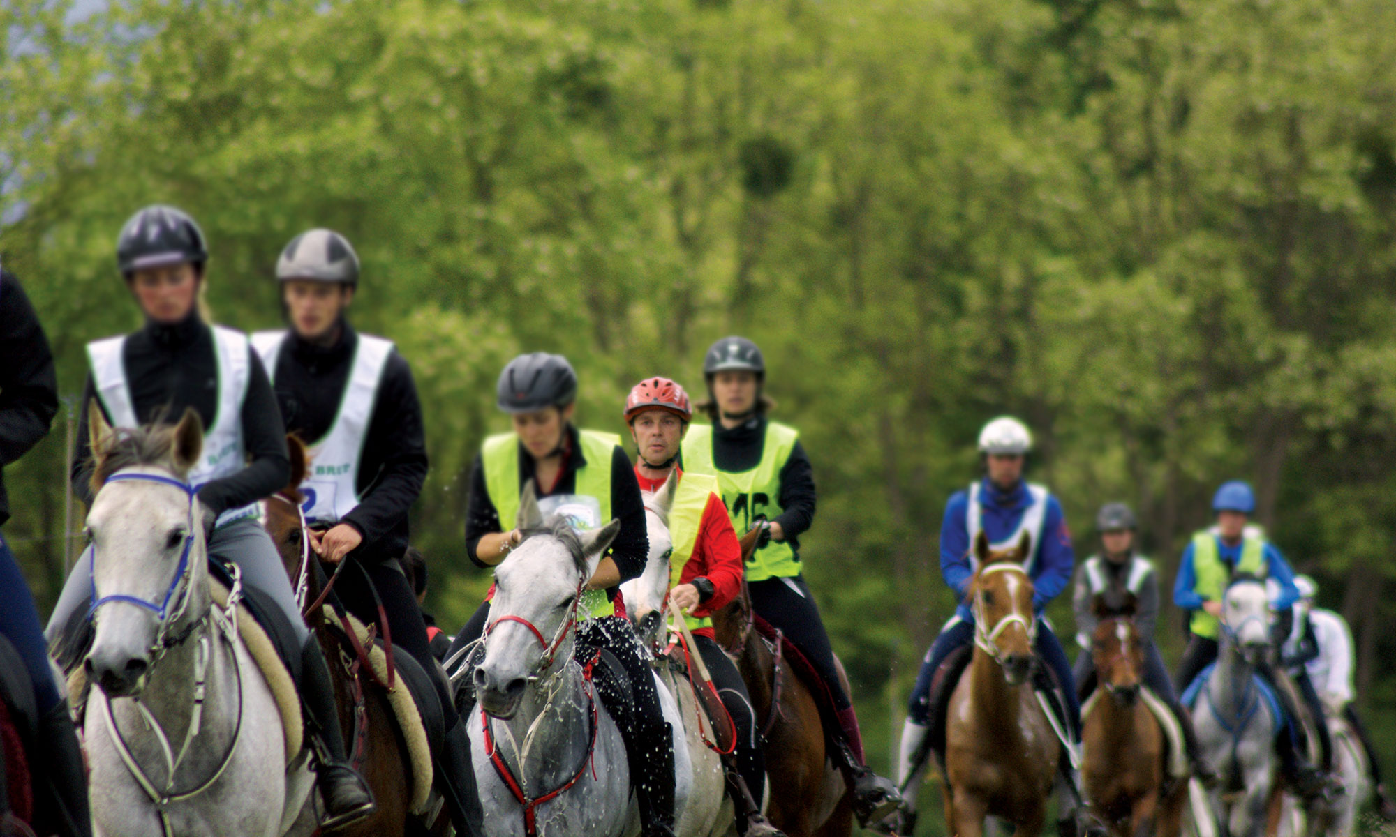 visuel ouestcoaching accueil