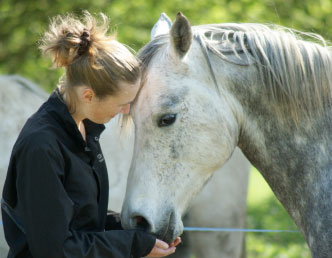 vignette illustration de la présentation de la structure